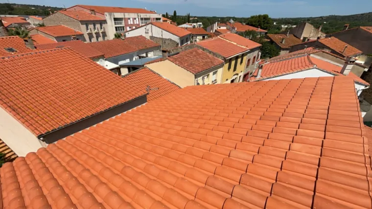 Couverture Perpignan, Thuir, Canohes, Toulouges, Pollestres, Claira, Rivesaltes..., Perpignan, A.D.D.H.